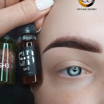 Світлана Шкурко, Київ Фото - 9