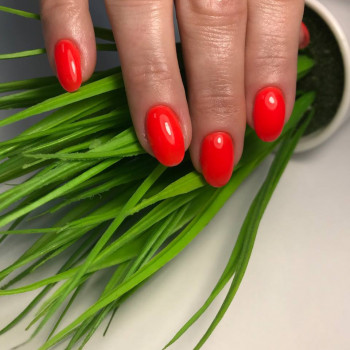 Beauty Space, Киев Фото - 64