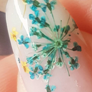 Диана Чунахова, Одеса Фото - 8