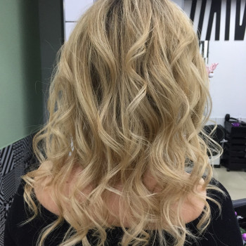 Zebra, Днепр Фото - 37