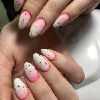 Zebra, Днепр Фото - 39