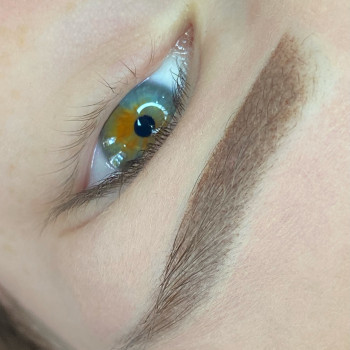 Пудровые бровки