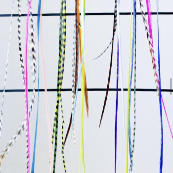 Шикарний аксесуар для волосся - пір’я для нарощення
                    Салон краси Garter Львів