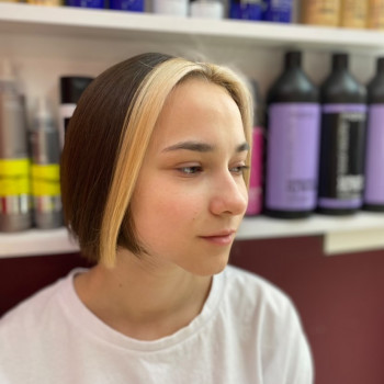 Складне або однотонне фарбування/висвітлення волосся/фарбування сивини
                    Салон красоты Blackberry Киев