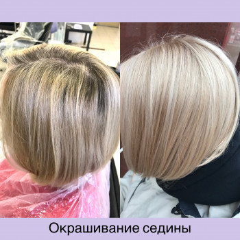 Фарбування сивого волосся
                    Парикмахер-колорист Светлана Киев