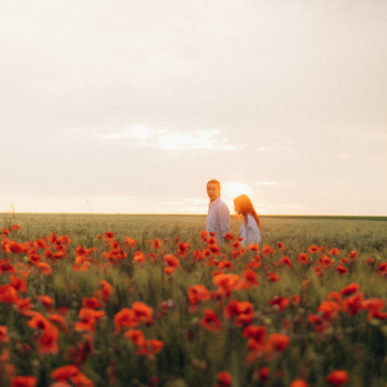 фотосесія пари, фотосесія у полі, фотосесія лав сторі, фотосесія на заході сонця, літня фотосесія