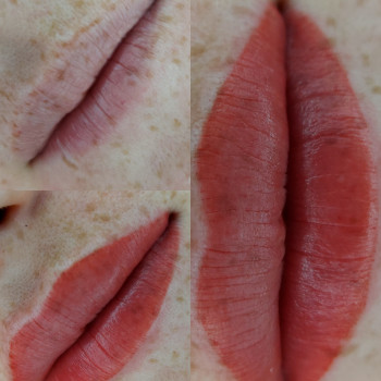 Губки перманент