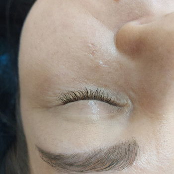 До ламинирования