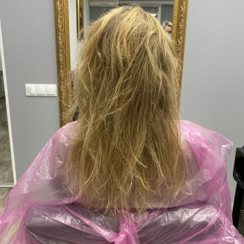 Масляний реконструктор
                    Салон краси Реконструкція Івано-Франківськ