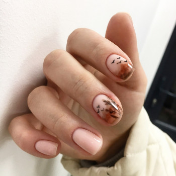 Candy Beauty Bar, Львов Фото - 37