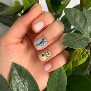 Анна Кучеренко, Бровары Фото - 10