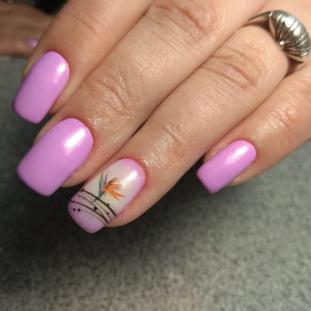 Натали Чумак, Харків Фото - 7