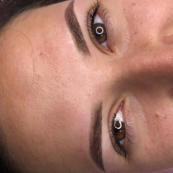 Пудрове напилення брів
                    Мастер перманентного макияжа Наталя Львов