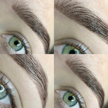 Коррекция и окрашивание бровей гель-краской Elan