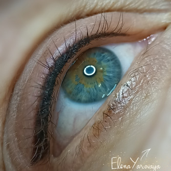 Елена Яровая, Сумы Фото - 82