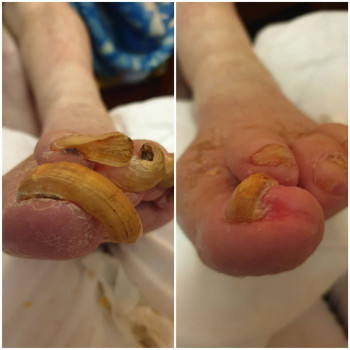 Людмила Виржанская, Киев Фото - 12