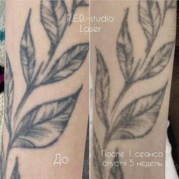 Дарья , Київ Фото - 18