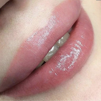 Пудрлвые губки