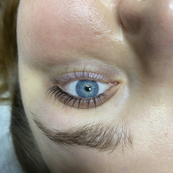 Ламинирование/Ботокс/ресничек. Покраска ресниц
                    Бровист Яна Черновцы