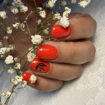 Ірина Персіянова, Василькíв Фото - 11