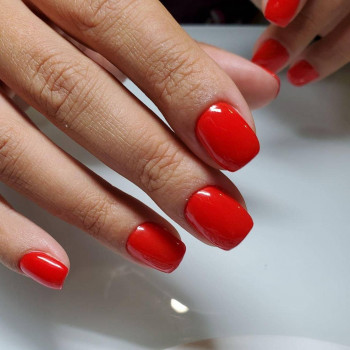 Кенсі, Ірпінь Фото - 9