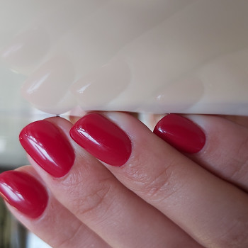 Евгения Аждер, Белая Церковь Фото - 13