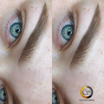 Пудровые брови