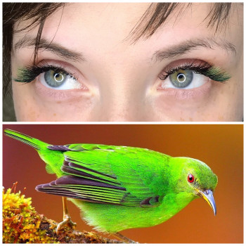 Цветное наращивание ресниц