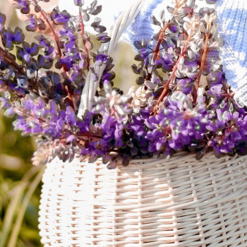 Ірина Марич, Львів Фото - 8