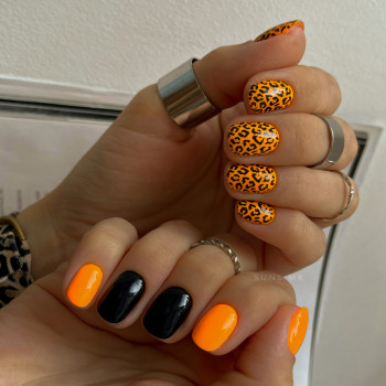 SUNS, Миколаїв Фото - 19