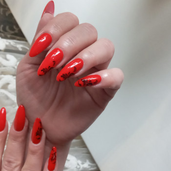 Анна Анничка, Василькíв Фото - 5