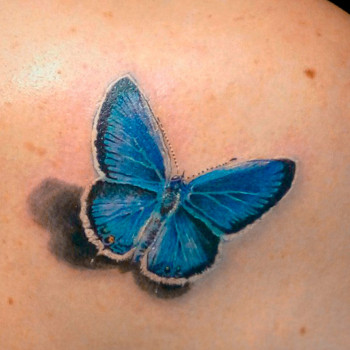 маленька бабочка тату