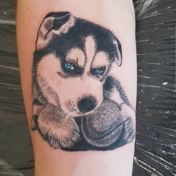 Максим Колесник, Миколаїв Фото - 13