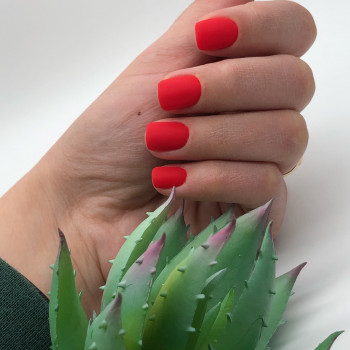 Елизавета , Одесса Фото - 27