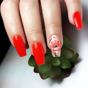 Оксана , Бердянск Фото - 29