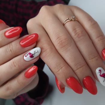 AVE EVA BEAUTY CLINIC, Бровари Фото - 19