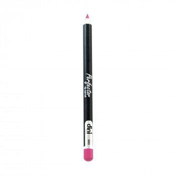 Олівець для губ Dini Perfector Lip Pencil 303, 2 г