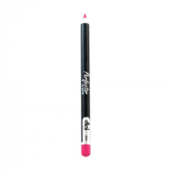 Олівець для губ Dini Perfector Lip Pencil 304, 2 г