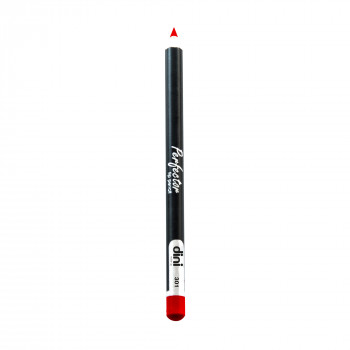 Олівець для губ Dini Perfector Lip Pencil 301, 2 г