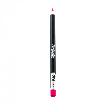 Олівець для губ Dini Perfector Lip Pencil 306, 2 г