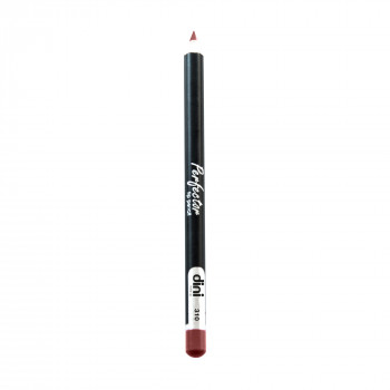 Олівець для губ Dini Perfector Lip Pencil 310, 2 г