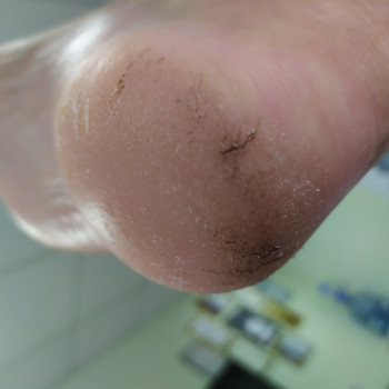 Lega, Черкаси Фото - 8