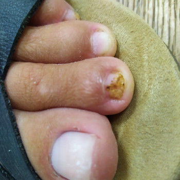 Lega, Черкаси Фото - 10