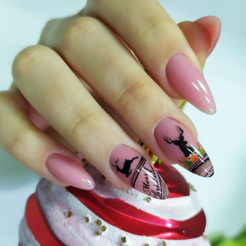 Катерина Піддубна, Тернопіль Фото - 48