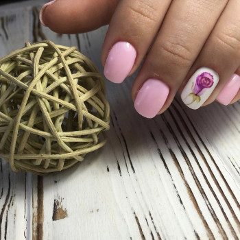 Алина Крикштанас, Кременчук Фото - 17