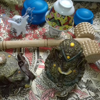 Світлана Cтупницкая, Львов Фото - 26