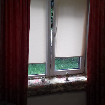 Світлана Cтупницкая, Львов Фото - 30