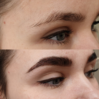 Фарбування брів фарбою Elan♥️
                    Бровіст Христина Чернівці