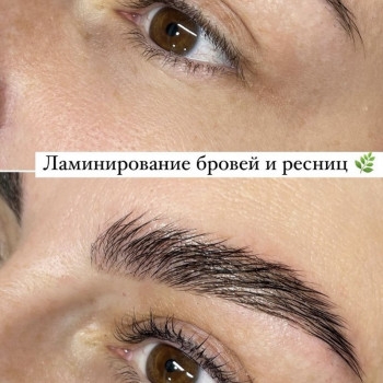 Моделирование бровей и покраска
                    Бровист Кристина Харьков