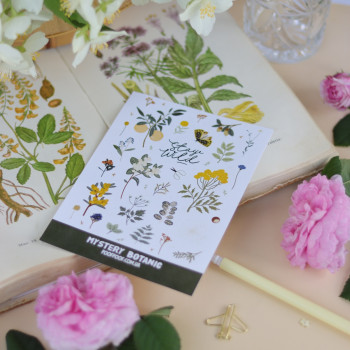 Фото предметные
                    Фотограф Наталя Київ